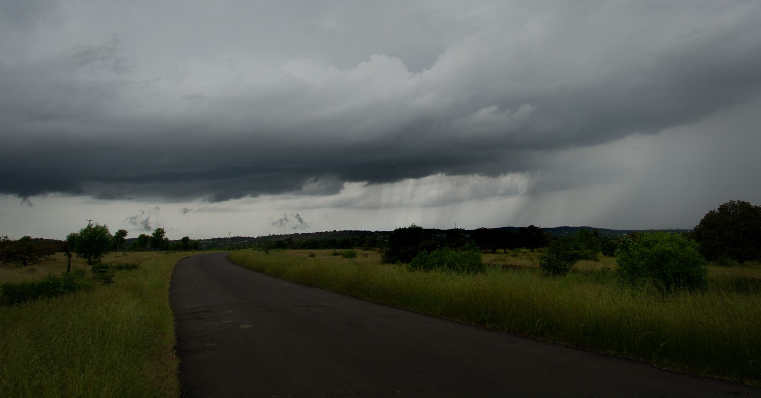 3 Essential Lightroom Tools to Elevate Your Nature & Wildlife Photography