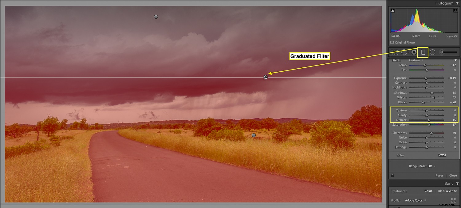 3 Essential Lightroom Tools to Elevate Your Nature & Wildlife Photography