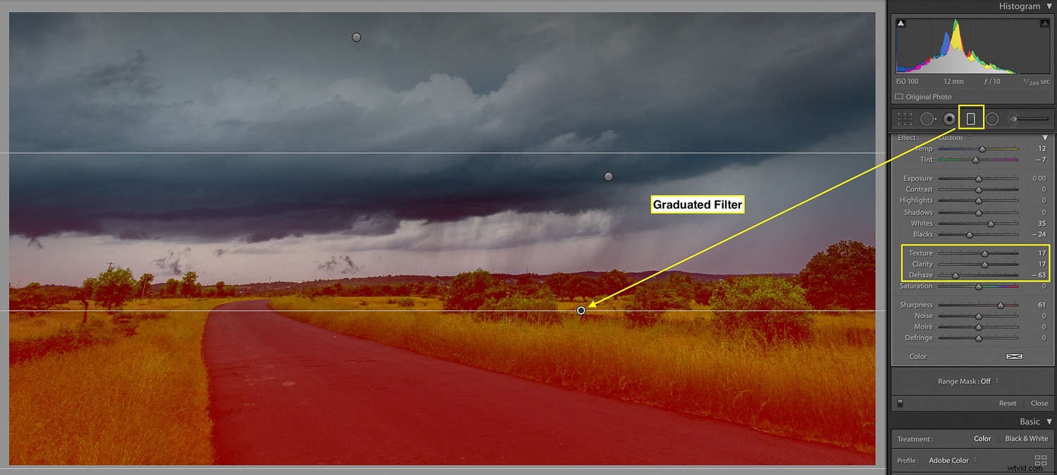 3 Essential Lightroom Tools to Elevate Your Nature & Wildlife Photography