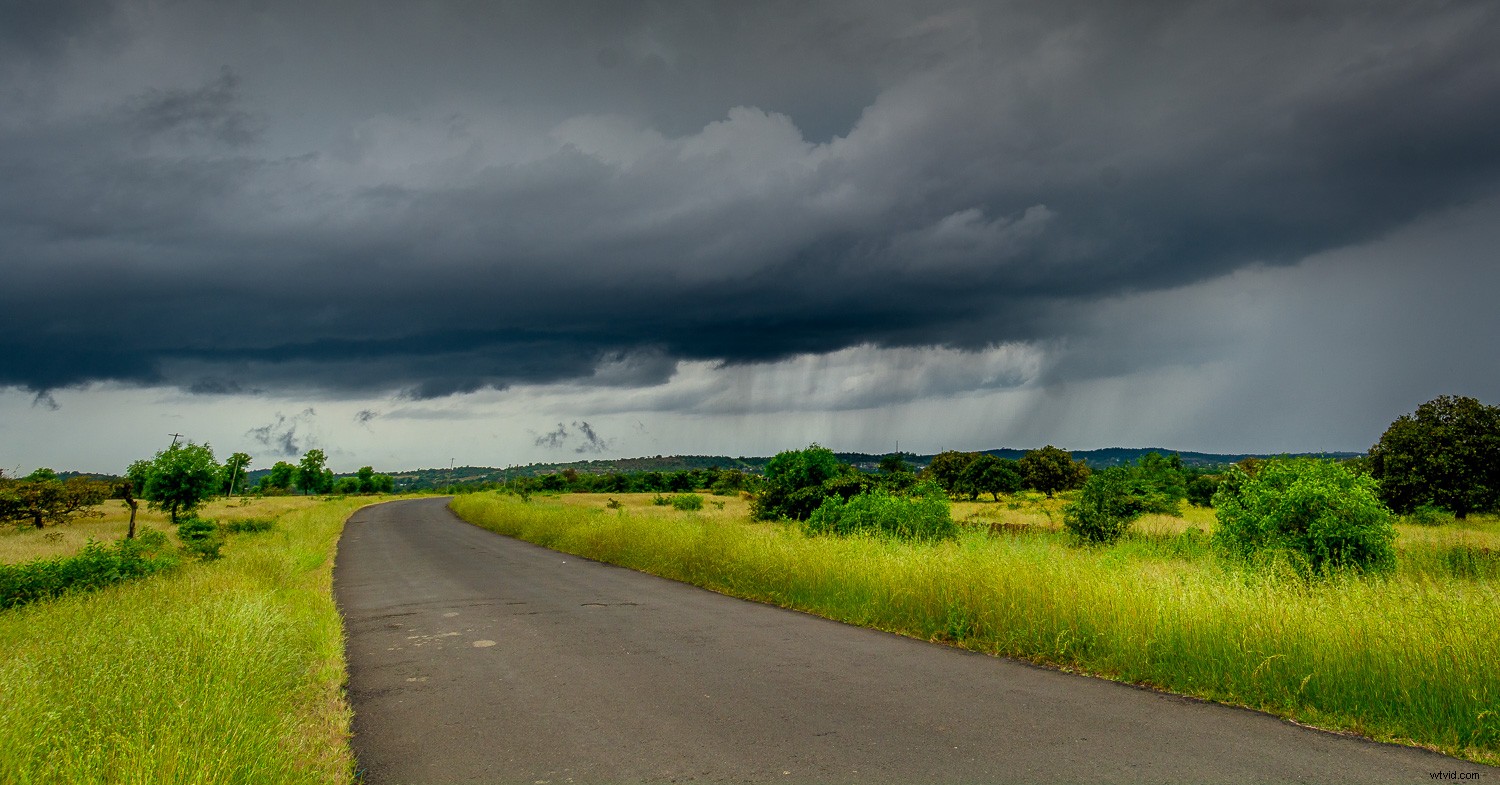 3 Essential Lightroom Tools to Elevate Your Nature & Wildlife Photography