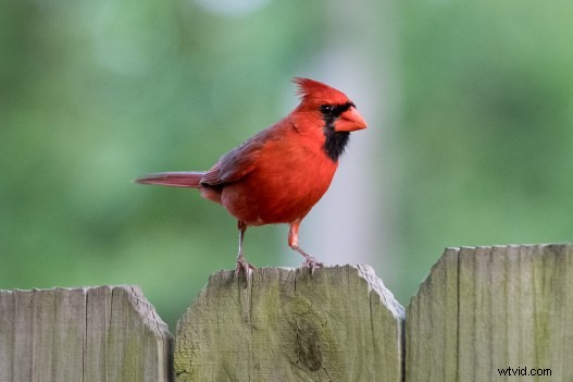 Master Effortless Color Adjustments in Lightroom for Stunning Results