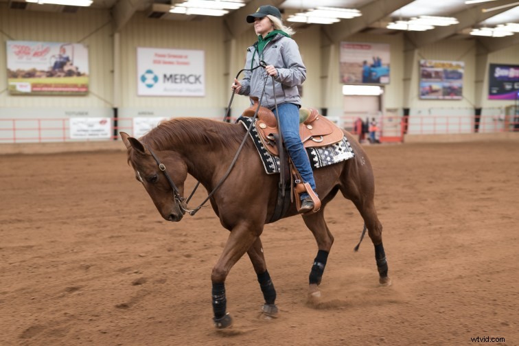 Master Effortless Color Adjustments in Lightroom for Stunning Results