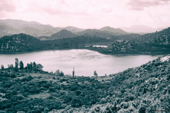 Master Split Toning in Lightroom Mobile: Create a Cohesive Instagram Feed