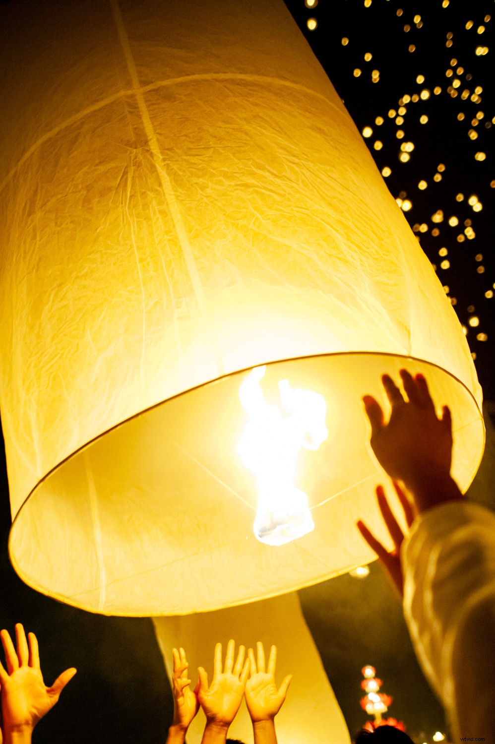 Expert Tips to Reduce Digital Noise in Lightroom and Photoshop