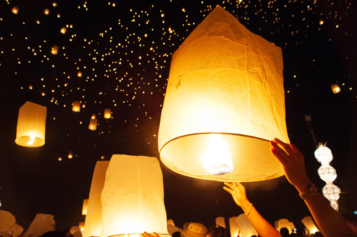 Expert Tips to Reduce Digital Noise in Lightroom and Photoshop