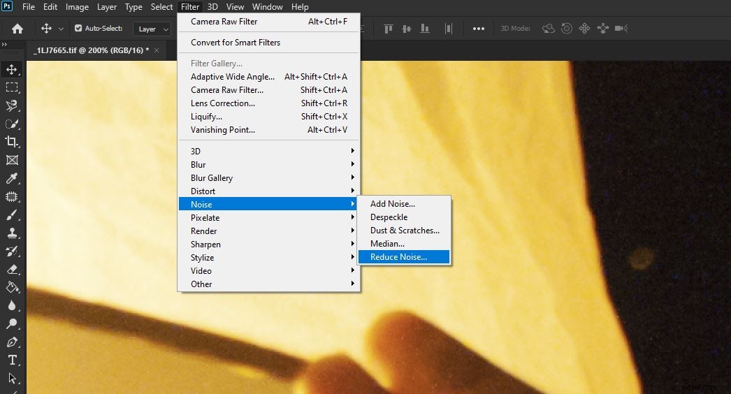 Expert Tips to Reduce Digital Noise in Lightroom and Photoshop