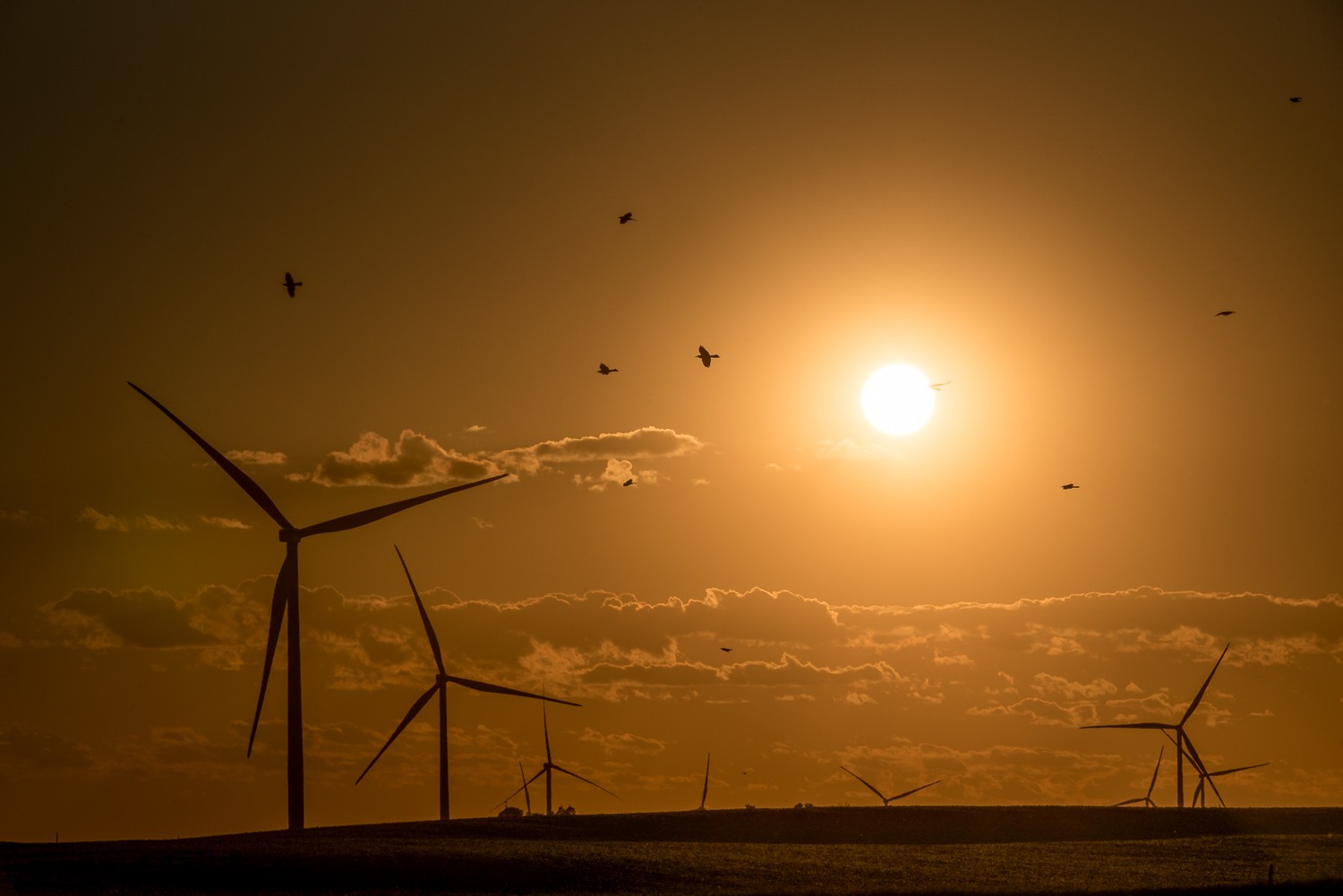 Master Photo Editing: Unlock Lightroom Mobile s Powerful New  Discover  Feature