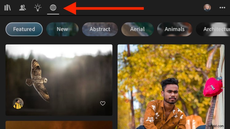 Master Photo Editing: Unlock Lightroom Mobile s Powerful New  Discover  Feature