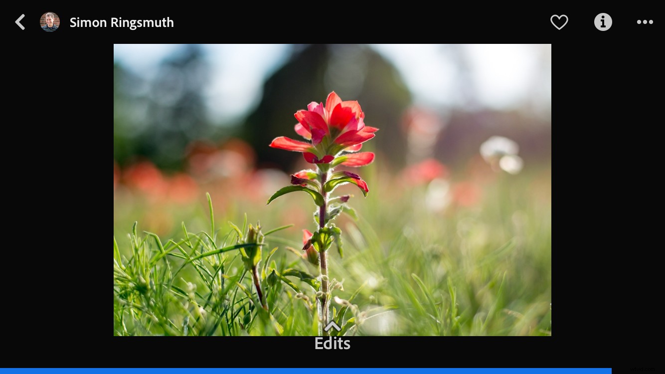 Master Photo Editing: Unlock Lightroom Mobile s Powerful New  Discover  Feature
