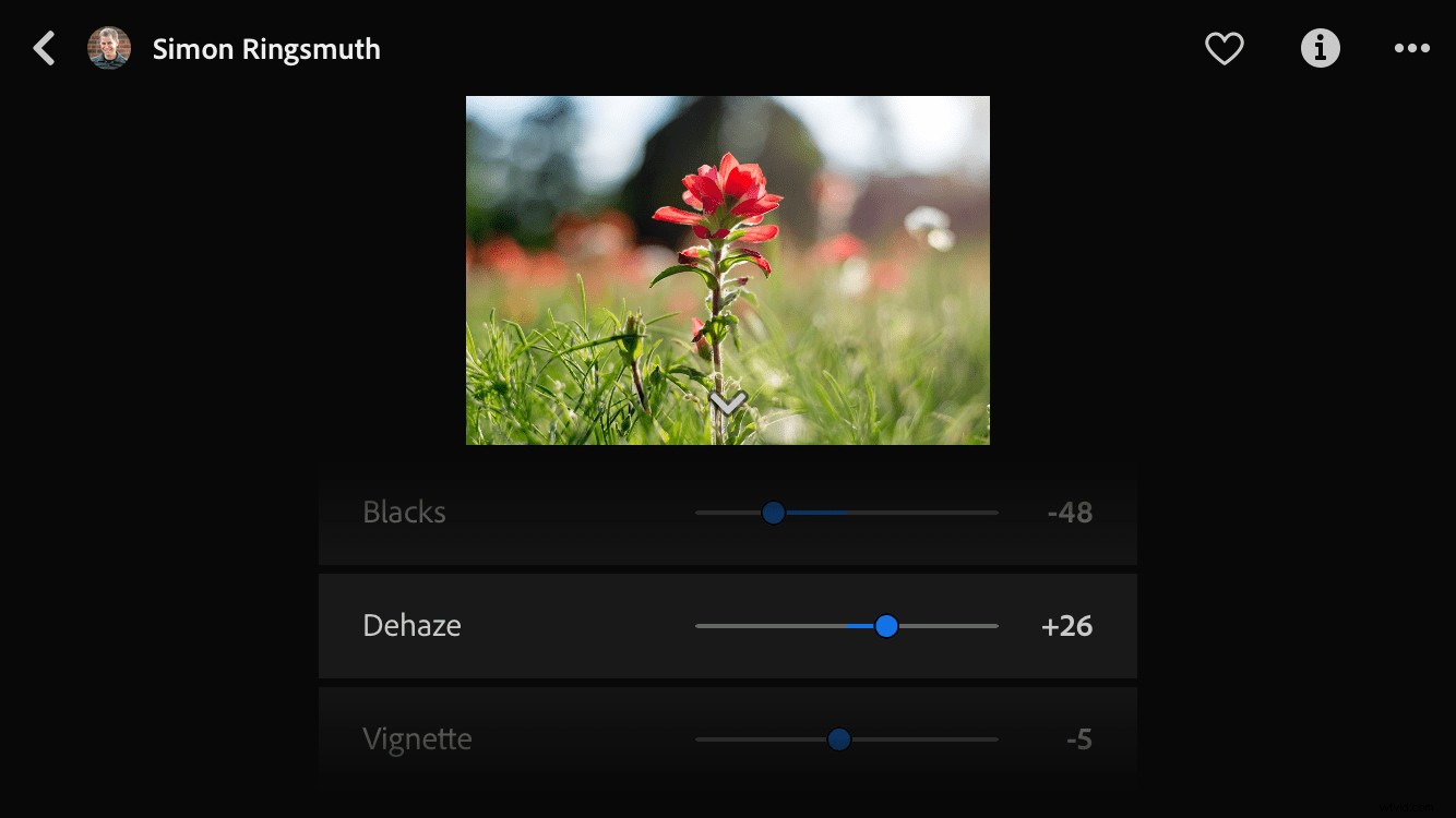 Master Photo Editing: Unlock Lightroom Mobile s Powerful New  Discover  Feature