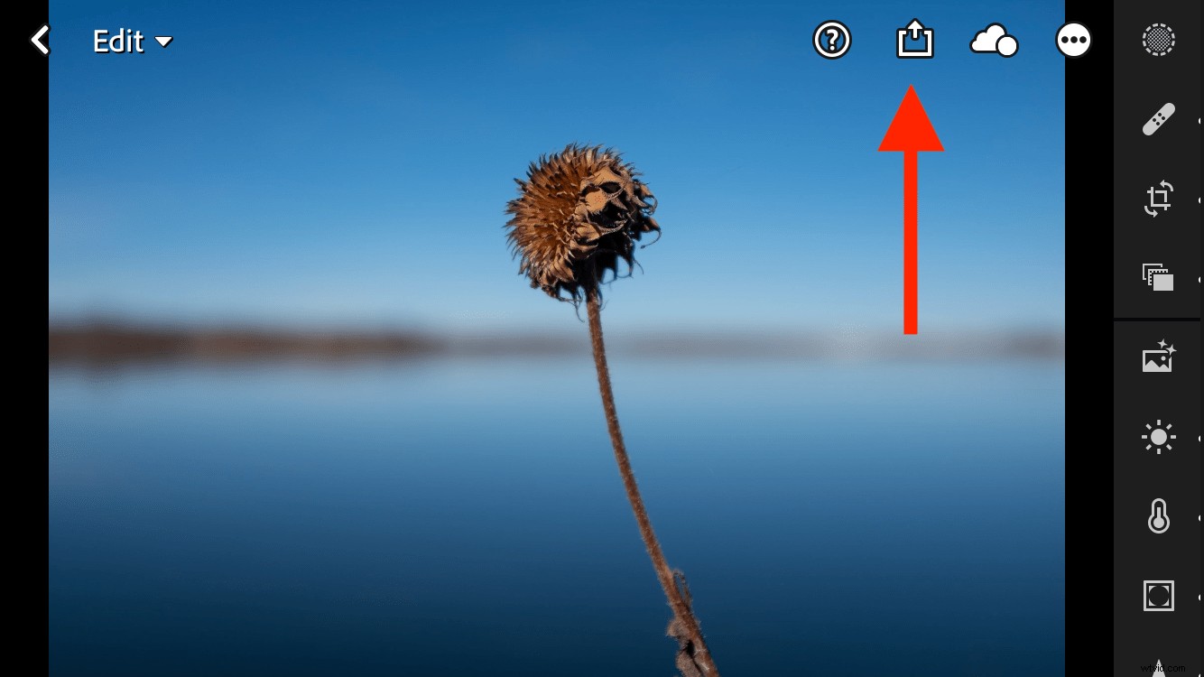 Master Photo Editing: Unlock Lightroom Mobile s Powerful New  Discover  Feature