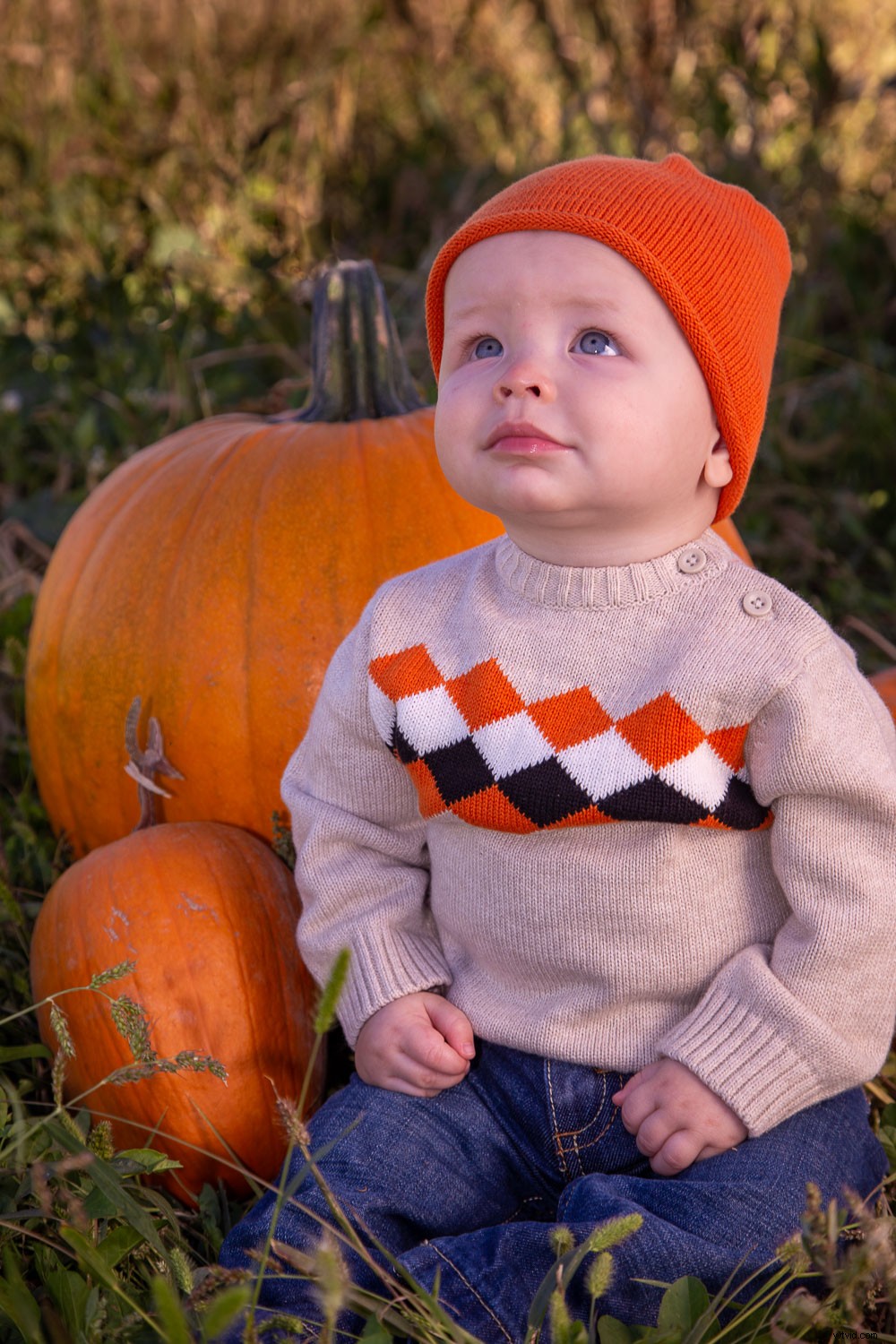 Master Creative Color Changes with Lightroom s New Hue Control