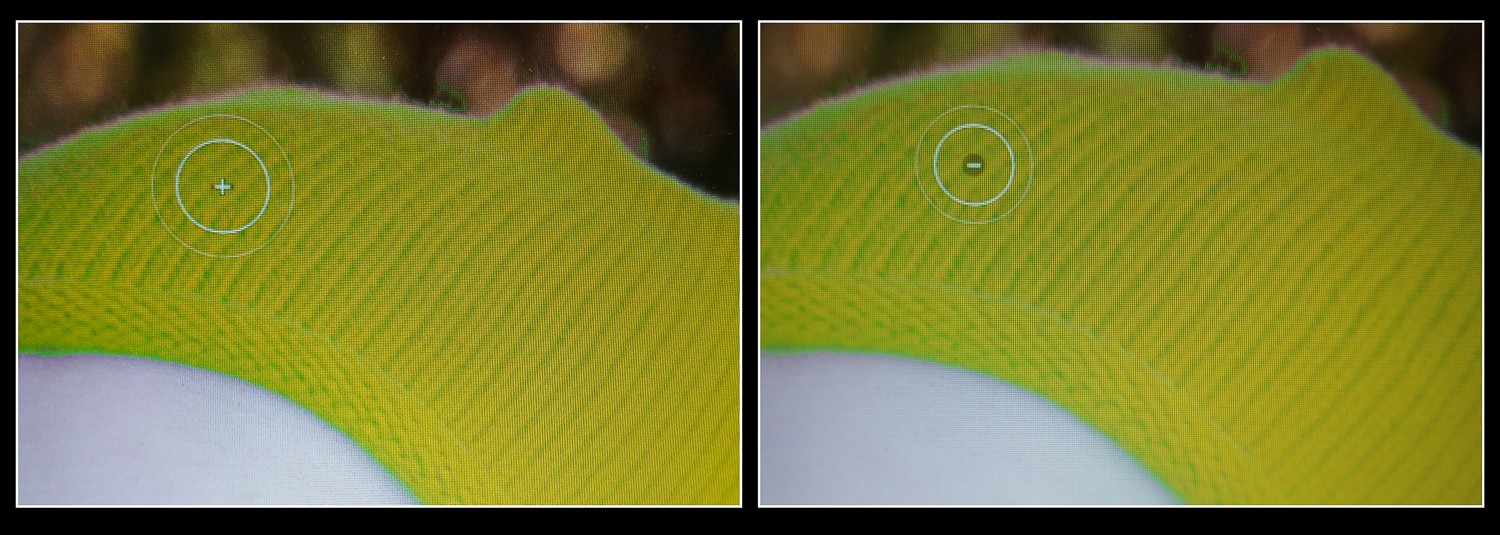 Master Creative Color Changes with Lightroom s New Hue Control