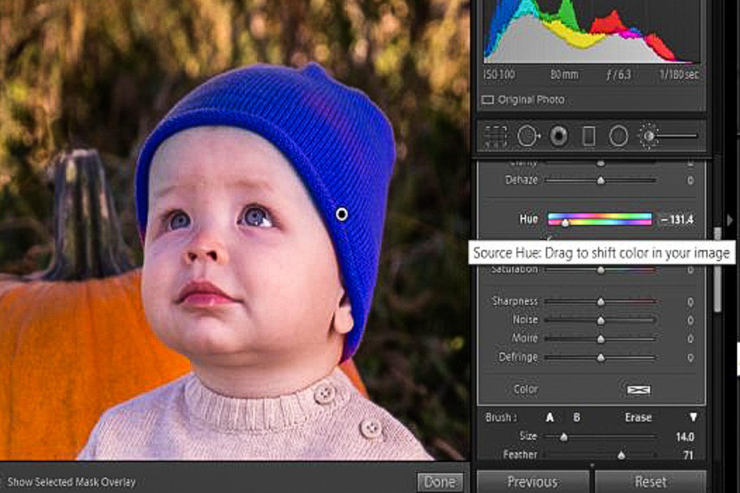 Master Creative Color Changes with Lightroom s New Hue Control