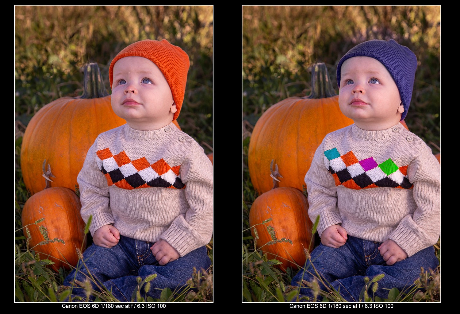 Master Creative Color Changes with Lightroom s New Hue Control