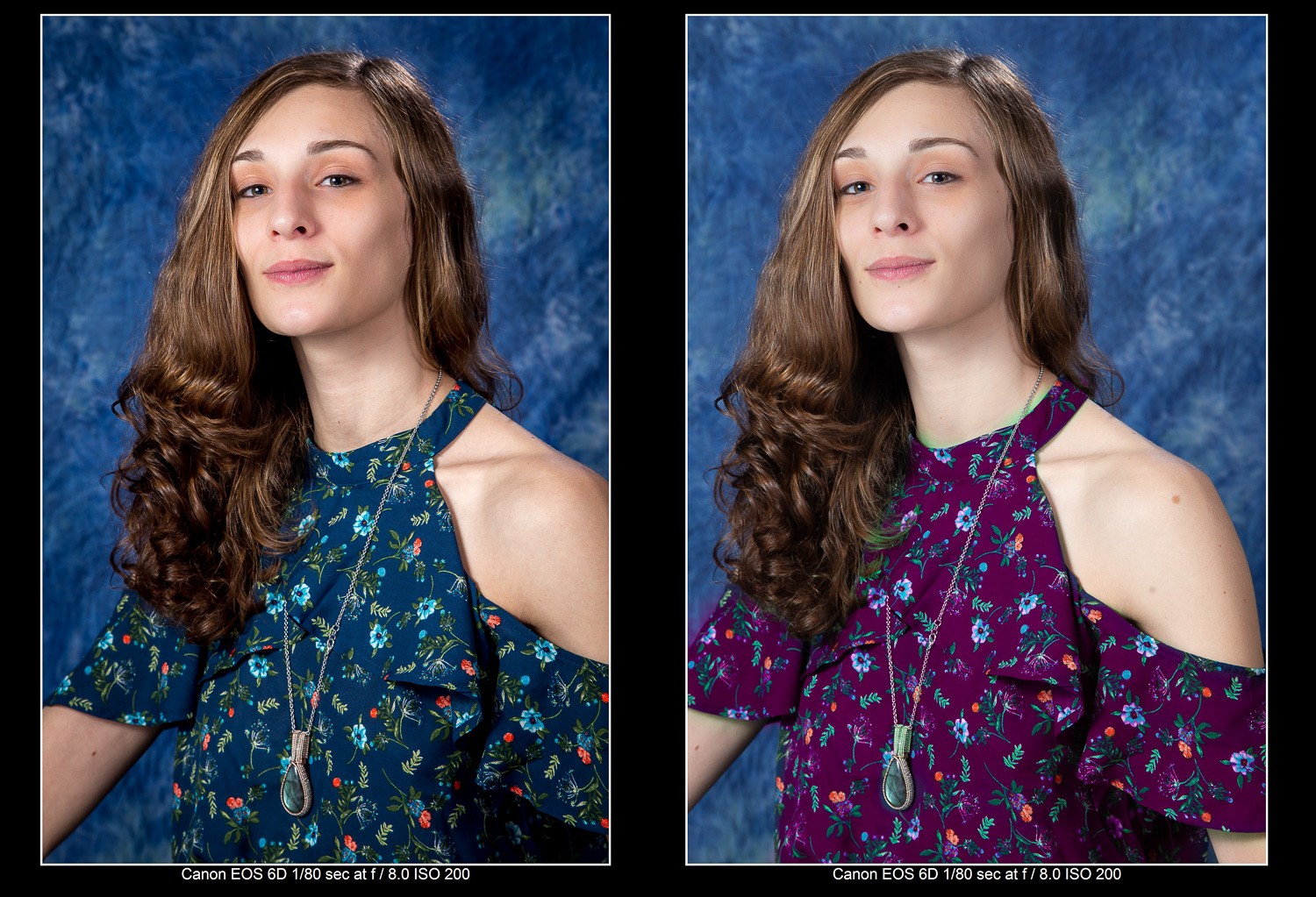 Master Creative Color Changes with Lightroom s New Hue Control