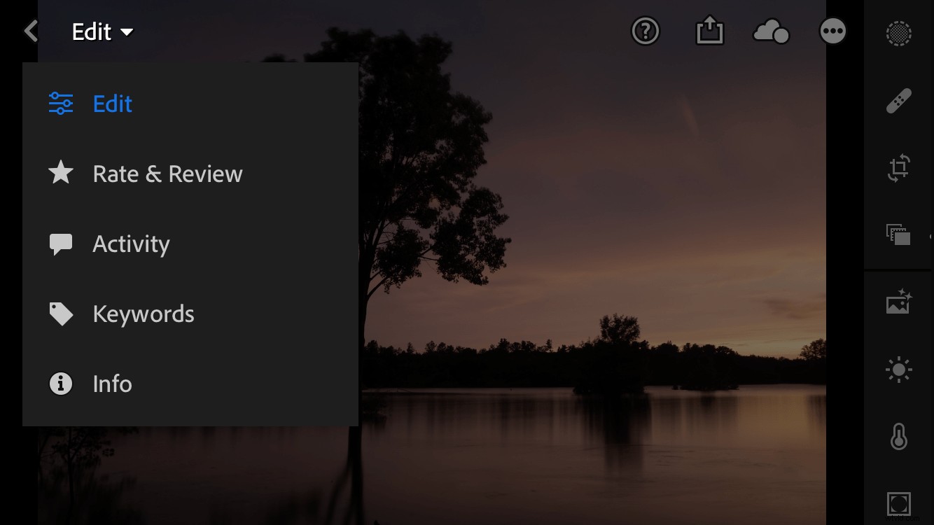 Master Photo Editing with Lightroom Mobile: Pro Tips & Techniques