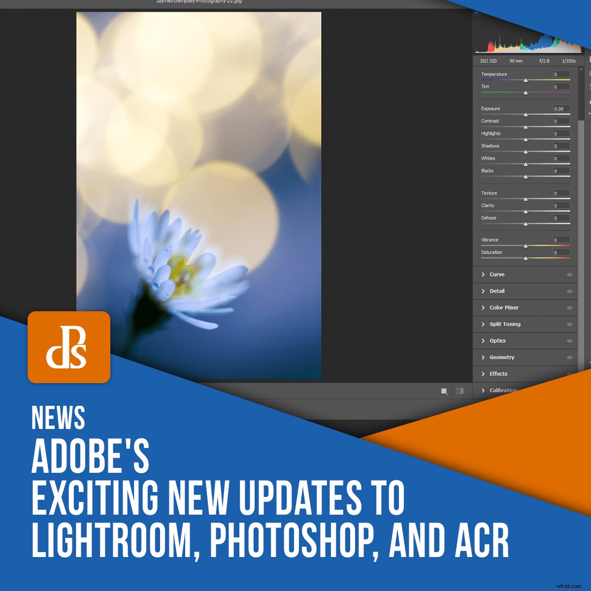 Adobe s Latest Powerful Updates for Lightroom, Photoshop, and Camera Raw