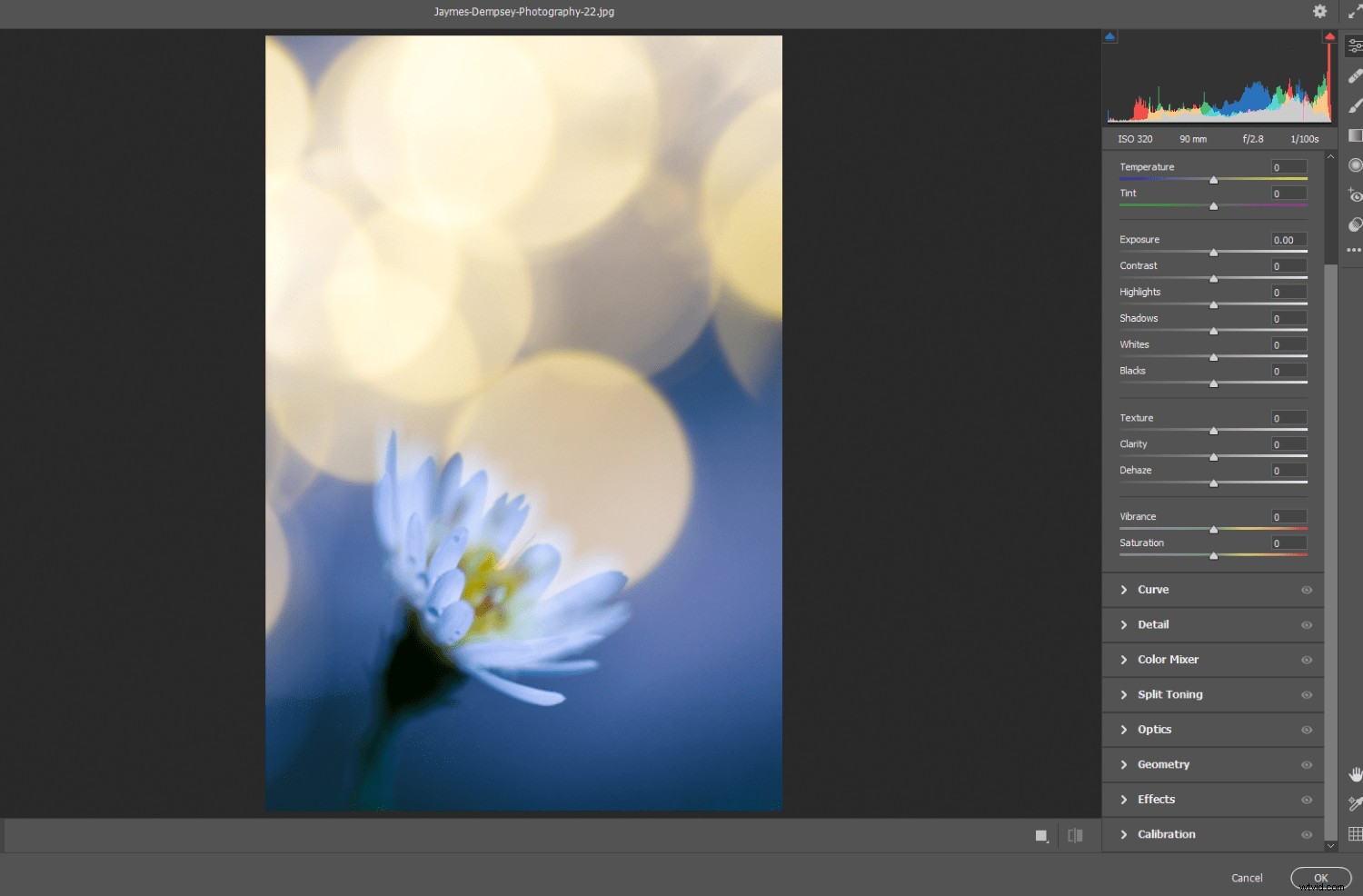 Adobe s Latest Powerful Updates for Lightroom, Photoshop, and Camera Raw
