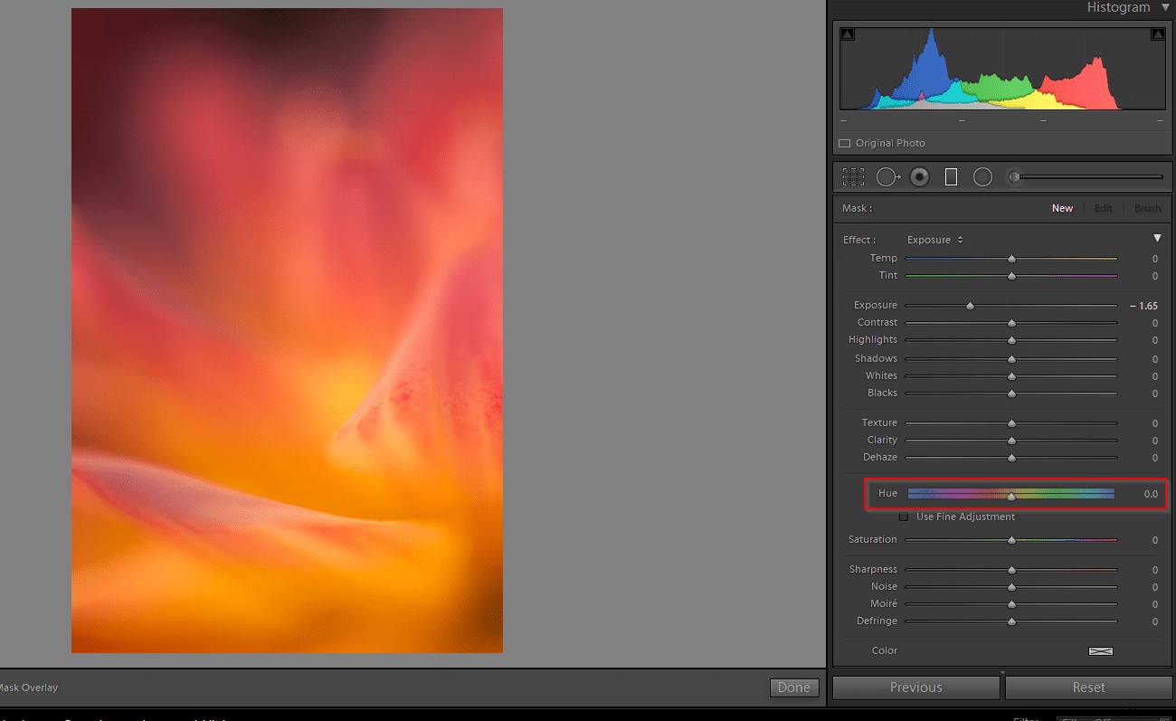 Adobe s Latest Powerful Updates for Lightroom, Photoshop, and Camera Raw