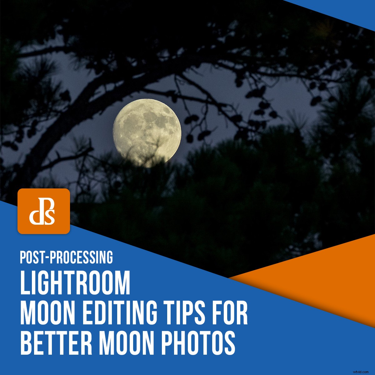 Expert Lightroom Editing Tips for Stunning Moon Photos