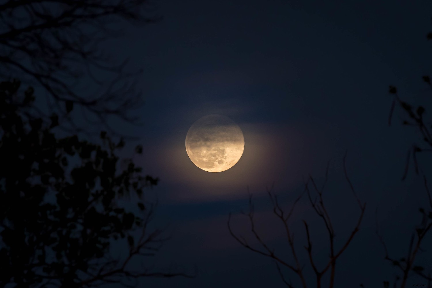 Expert Lightroom Editing Tips for Stunning Moon Photos