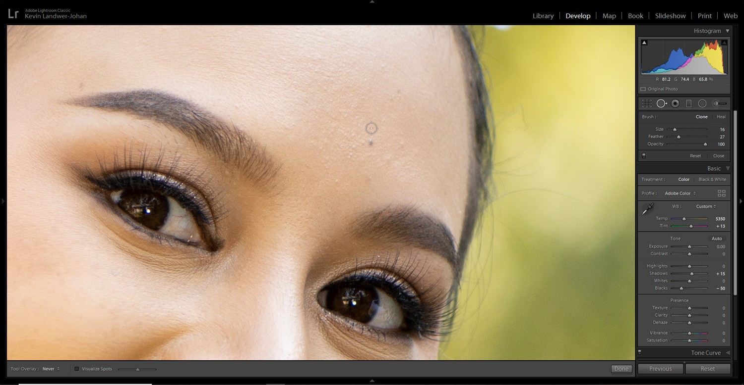 Master RAW Portrait Editing in Lightroom: Pro Step-by-Step Guide