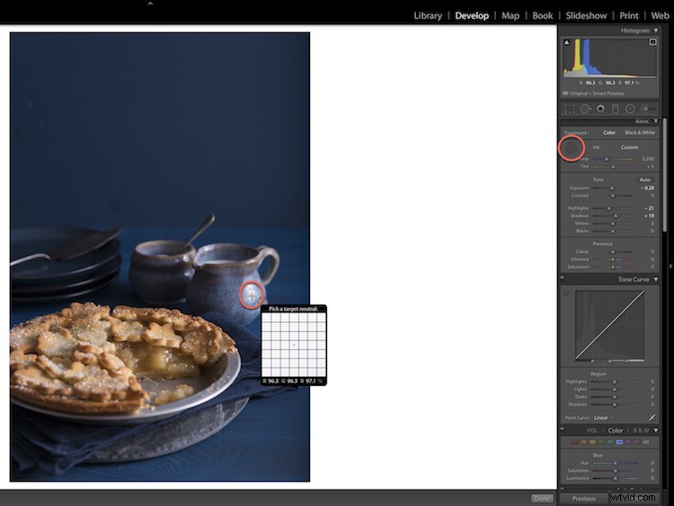 Expert Step-by-Step Guide: Editing Food Photos in Lightroom