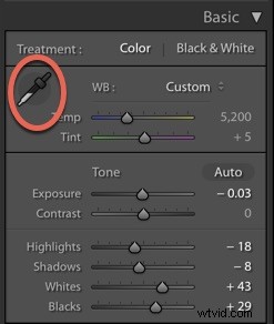 Expert Step-by-Step Guide: Editing Food Photos in Lightroom
