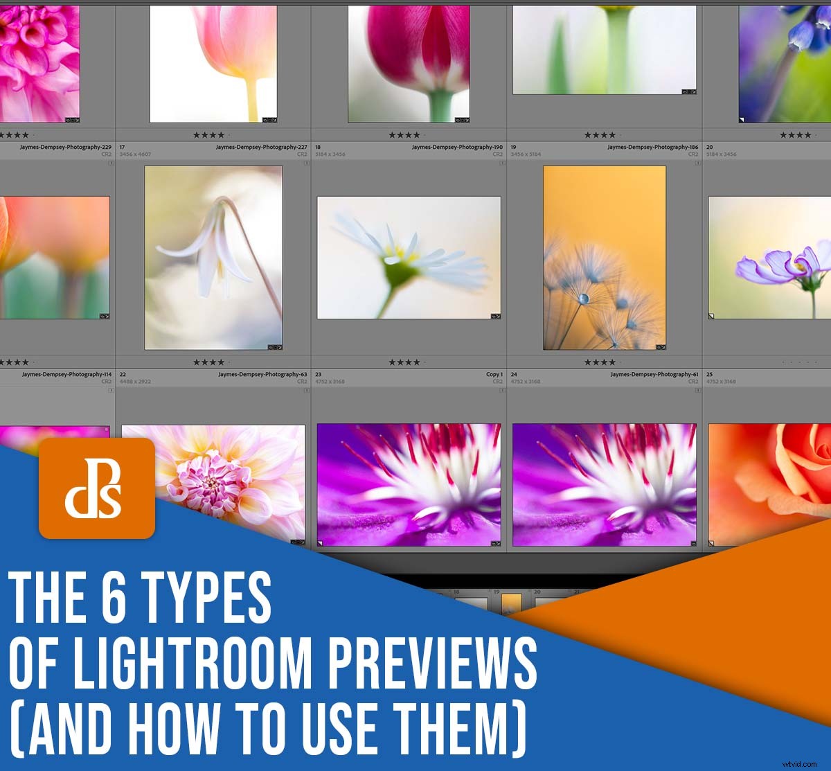 Mastering Lightroom Previews: 6 Essential Types and How to Use Them Effectively