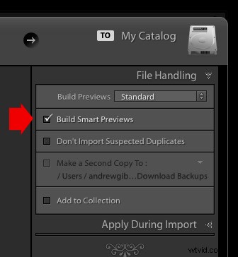 Mastering Lightroom Previews: 6 Essential Types and How to Use Them Effectively