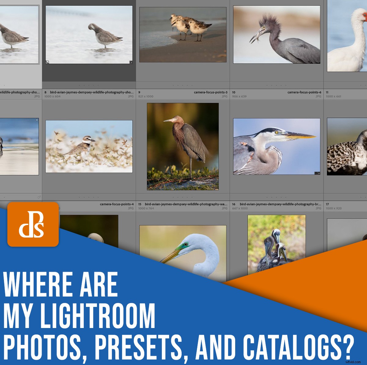 Lightroom File Locations: Where Photos, Presets & Catalogs Are Stored (2022 Guide)