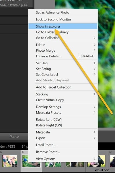 Lightroom File Locations: Where Photos, Presets & Catalogs Are Stored (2022 Guide)