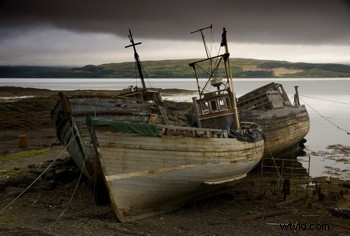 Master Professional Image Processing in Photoshop: Expert Tutorial