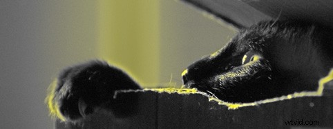 4 Proven Photoshop Techniques to Make Your Photos Pop with Drama