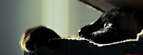 4 Proven Photoshop Techniques to Make Your Photos Pop with Drama