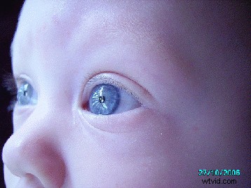 Photoshop Case Study: Transform Everyday Photos with Expert Editing Techniques