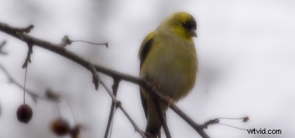 4 Proven Photoshop Techniques to Make Your Photos Pop with Drama