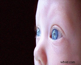 Photoshop Case Study: Transform Everyday Photos with Expert Editing Techniques