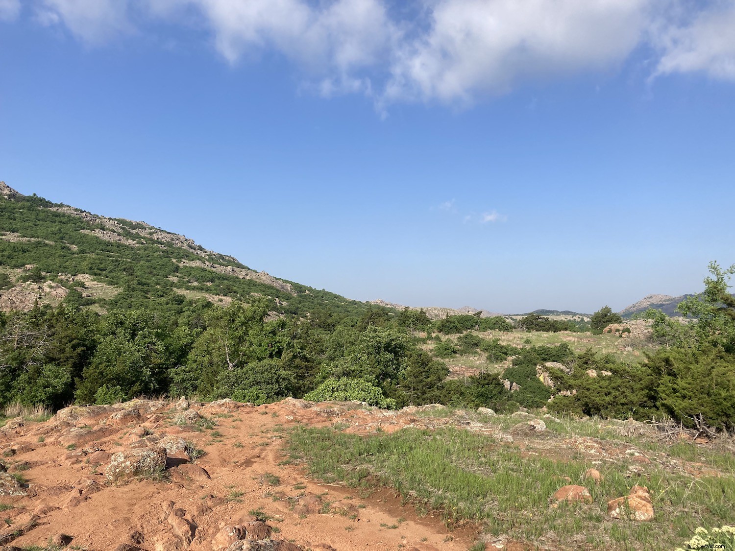 11 Expert Tips for Stunning iPhone Landscape Photography