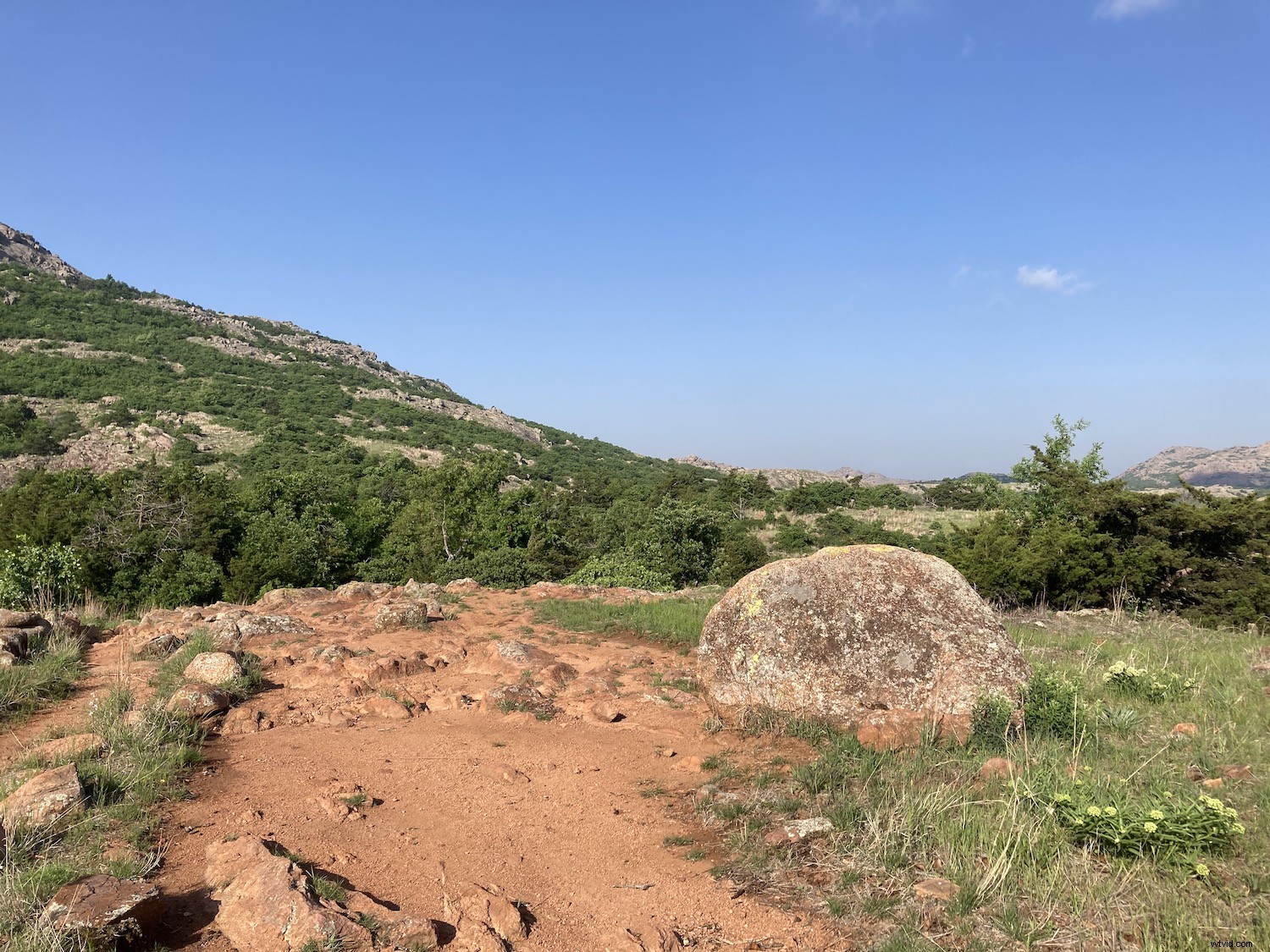 11 Expert Tips for Stunning iPhone Landscape Photography