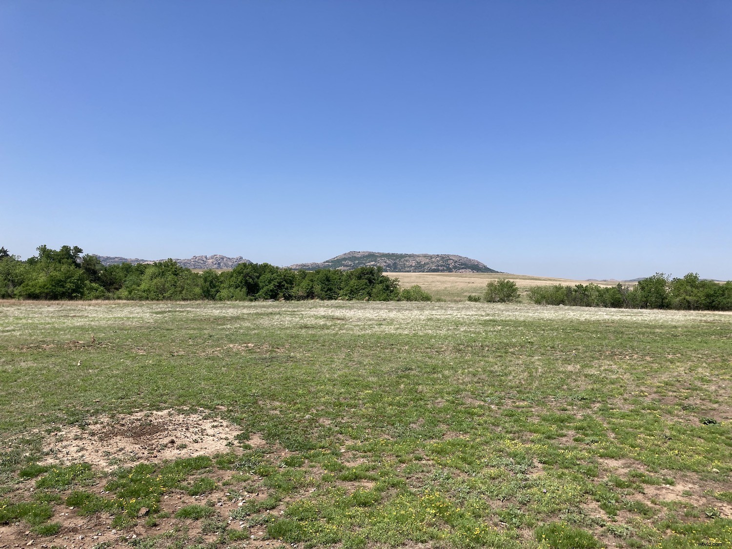 11 Expert Tips for Stunning iPhone Landscape Photography