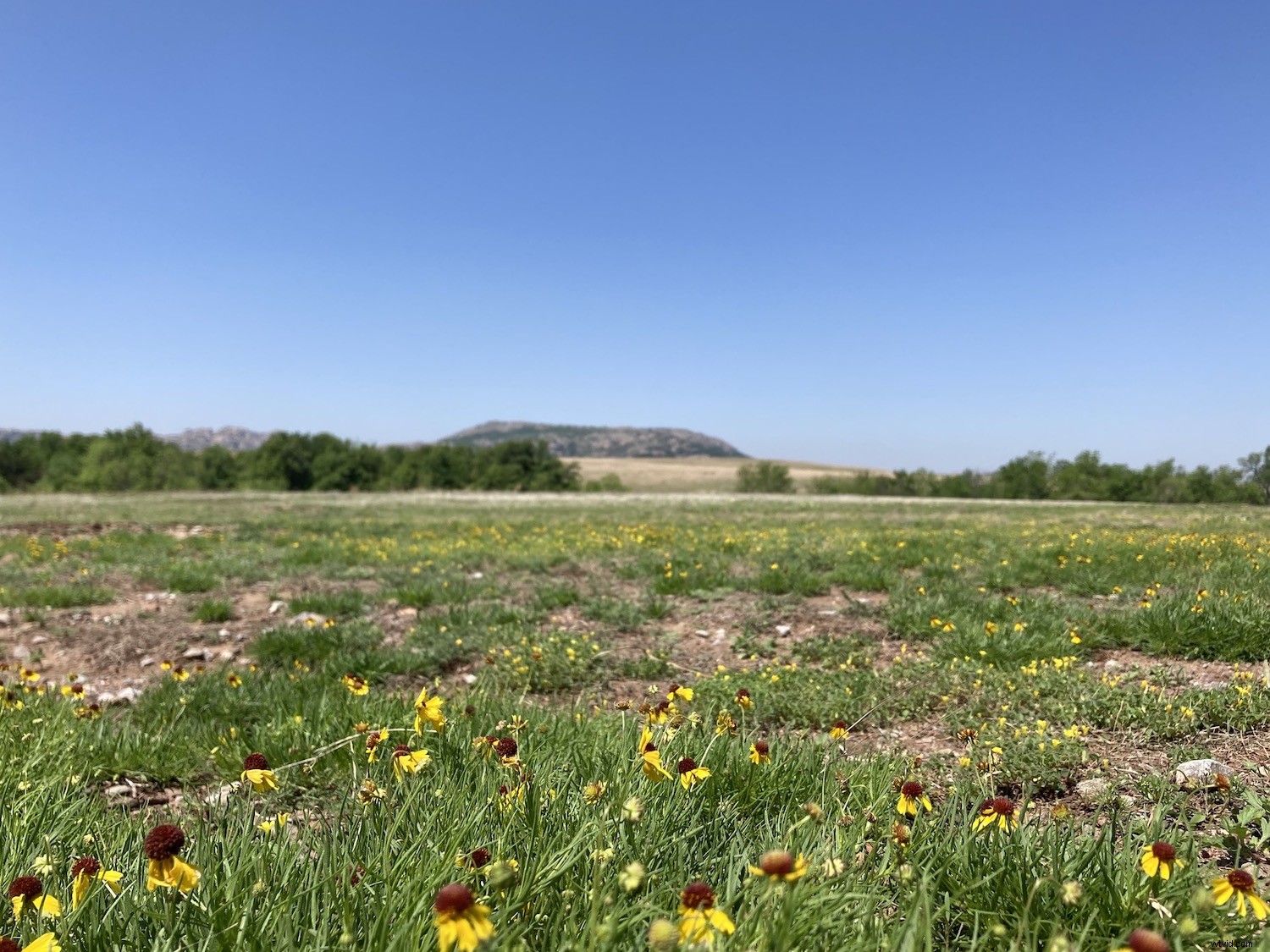 11 Expert Tips for Stunning iPhone Landscape Photography