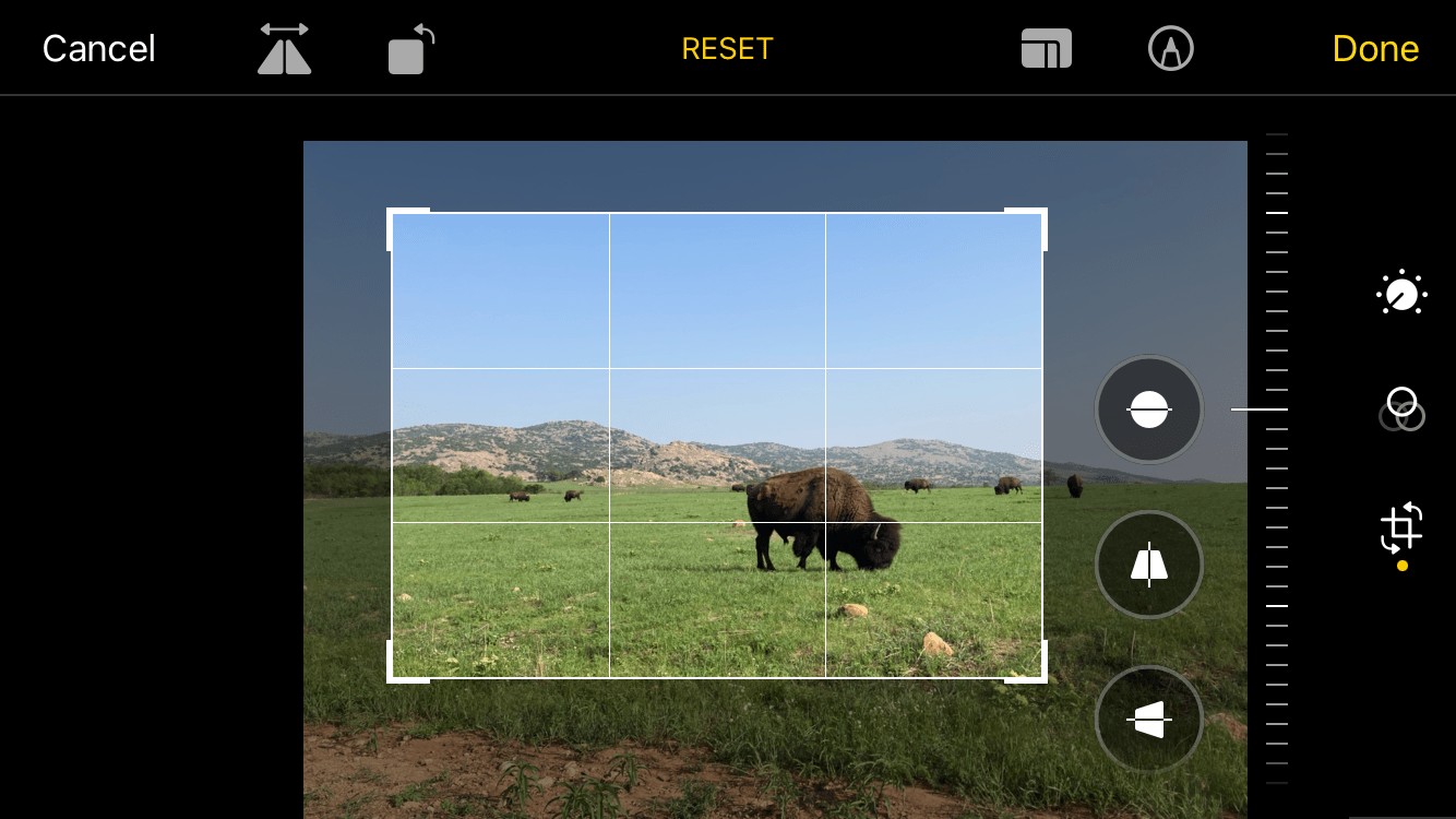 11 Expert Tips for Stunning iPhone Landscape Photography