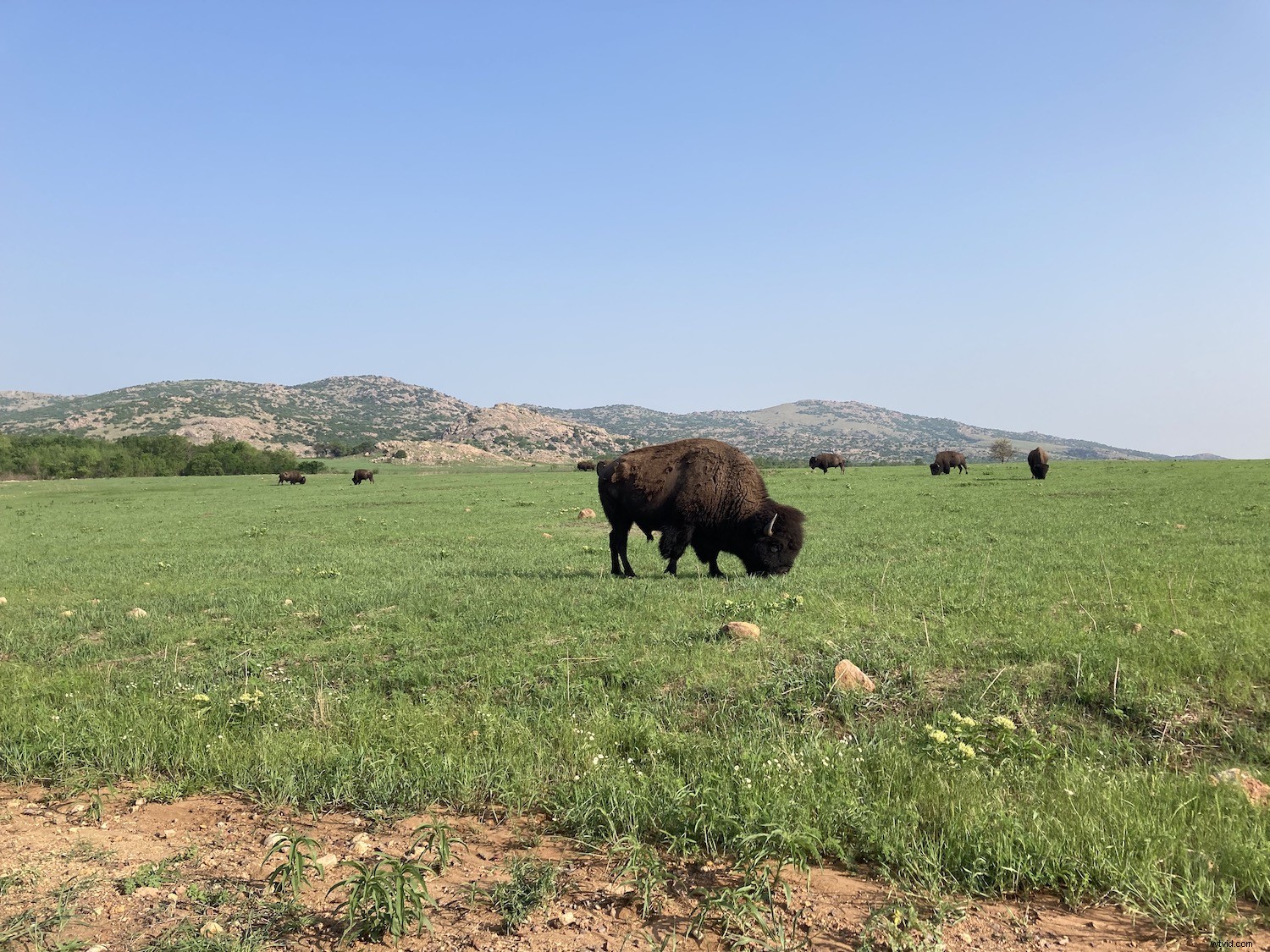 11 Expert Tips for Stunning iPhone Landscape Photography