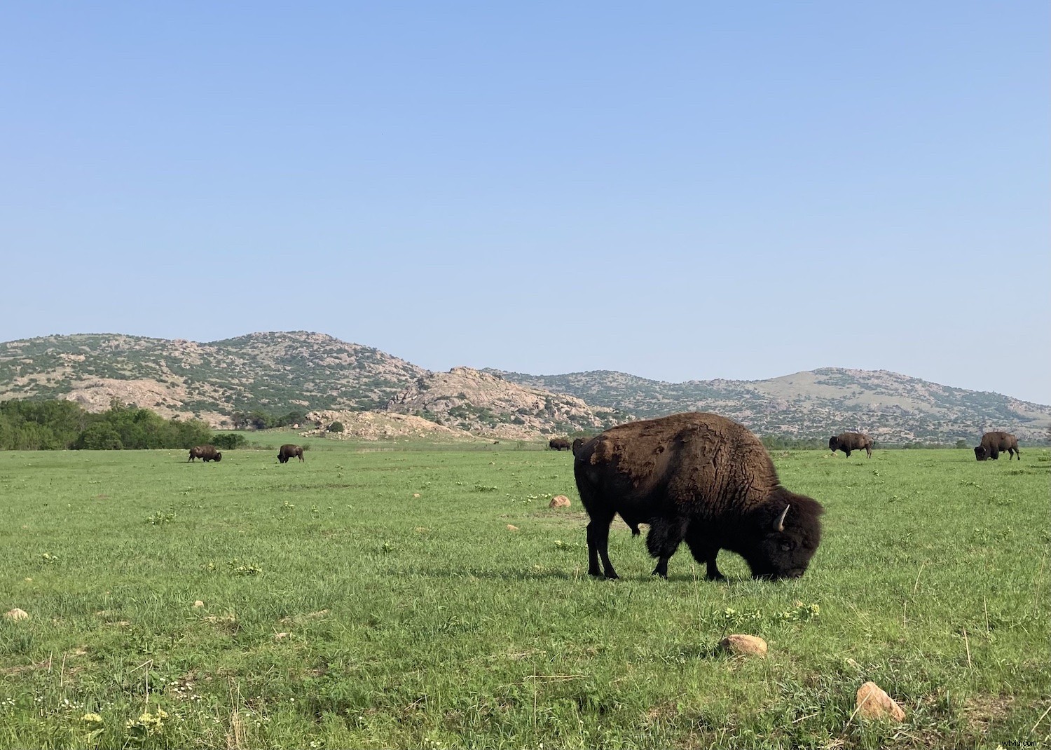 11 Expert Tips for Stunning iPhone Landscape Photography