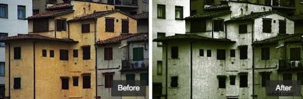 Create Stunning Duotone Images in Photoshop: Step-by-Step Guide