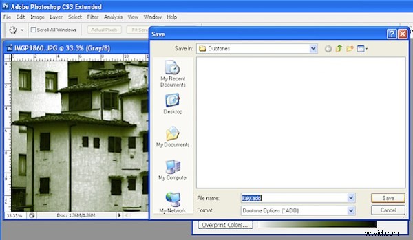 Create Stunning Duotone Images in Photoshop: Step-by-Step Guide