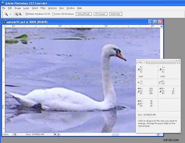 Master Photoshop Color Correction: 7 Proven Steps for Perfect Results