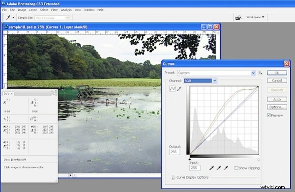 Master Photoshop Color Correction: 7 Proven Steps for Perfect Results